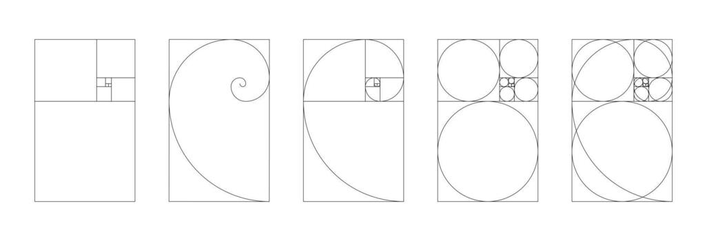 Template of golden ratio harmony proportions. Fibonacci numbers array vertical set. vector