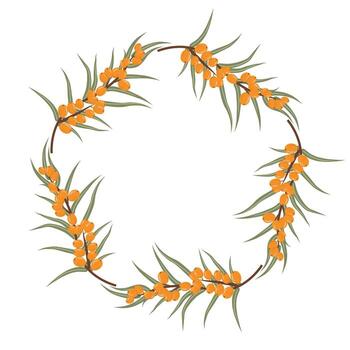 Autumn frame with sea-buckthorn and leaves in circle shape on white isolated background vector