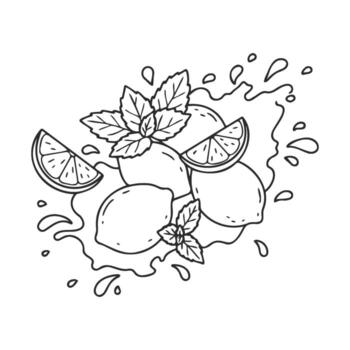 drawn lemon cluster with leafy sprigs and juice splashes artwork vector