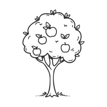 drawn apple tree with ripe apples and leaves and simple outline vector