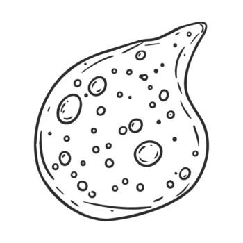 drawn amoeba with circular patterns on white background vector