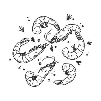 drawn shrimp pattern with artistic black and white design and decorative elements vector