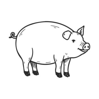 drawn pig with swirl tail and happy expression vector