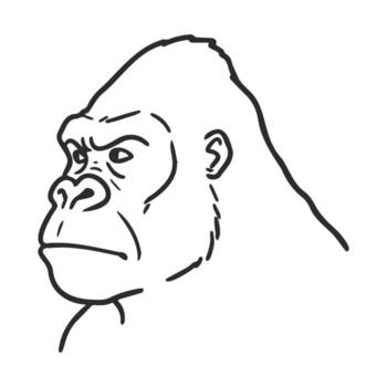 Black and white sketch of a gorilla with intense expression vector