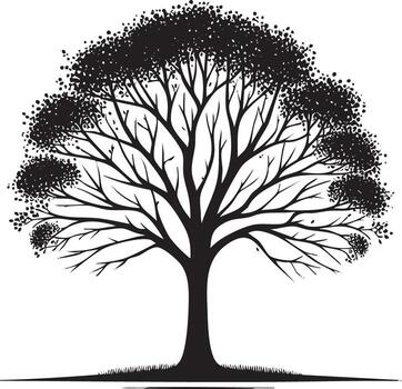Striking Silhouette of a Mature Tree with Full Crown and Intricate Branching Pattern vector