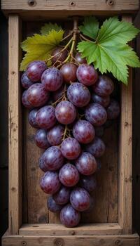 Fresh red grapes with green leaves photo