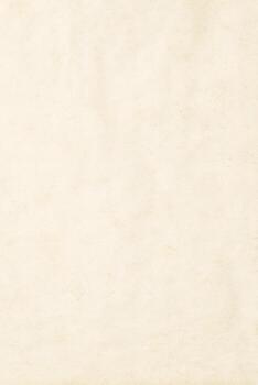 ligero papel textura con vacío espacio. antiguo pergamino como antecedentes foto