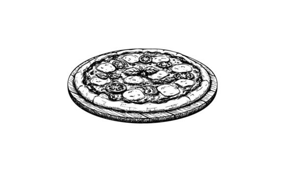drawn pizza sketch with toppings and crust on white background vector