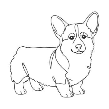 Outline of welsh corgi with floppy ears and short legs in standing pose vector