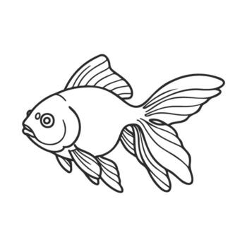 Outline drawing of a goldfish with flowing fins on white background vector