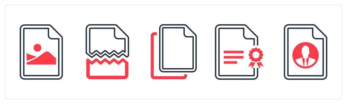 A set of 5 mix icons as picture document, damaged, duplicate in red color vector