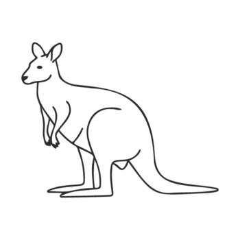 Simple line drawing of a kangaroo in profile with tail and ears visible vector