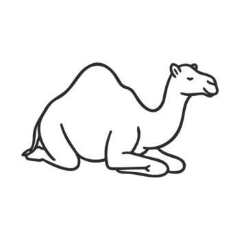 Simple line drawing of a resting camel vector