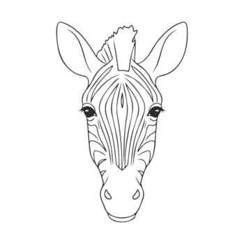 Zebra face outline art with distinctive stripes and minimalist style vector