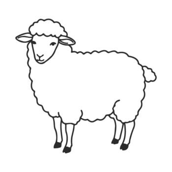 Black and white line art of a standing sheep with curly wool vector