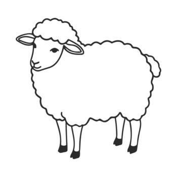 Simple black and white sheep illustration with curly wool and minimalist design vector