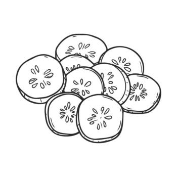 Sketch of cucumber slices in a simple Hand drawnstyle vector