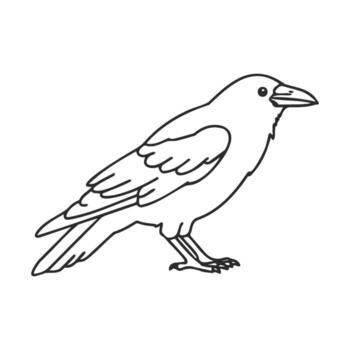 Outline drawing of a crow in side view vector