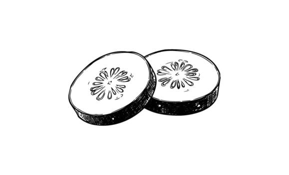 Sketch of two cucumber slices with detailed seeds and texture vector
