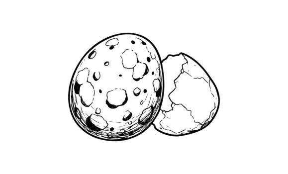 bosquejo de agrietado y todo dinosaurio huevo con detallado textura patrones vector