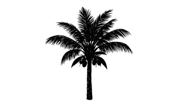 Silhouette of a palm tree with coconuts against white background vector