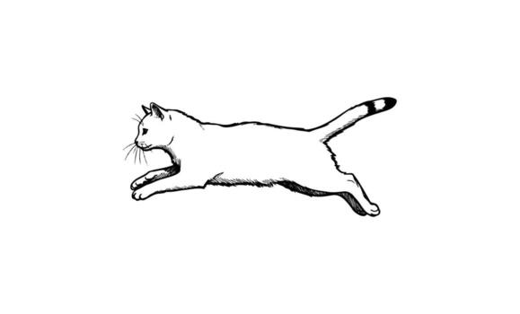 Illustrated cat in mid-run with focus on dynamic motion vector