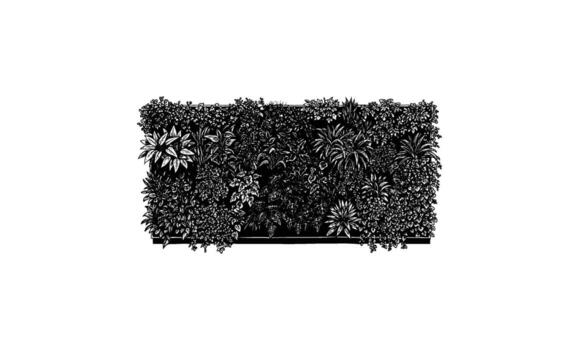 monocromo botánico modelo de diverso lozano plantas en rectangular formar vector