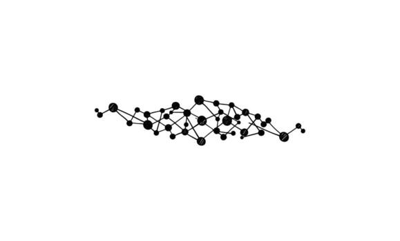 Abstract black network node pattern on white background vector