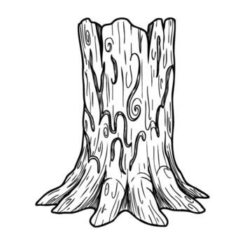 Intricate line art of a tree stump with detailed patterns vector