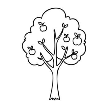 Line art of apple tree with apples on a branch vector