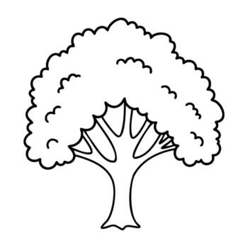 contorno de un árbol con lleno pabellón y ramas vector