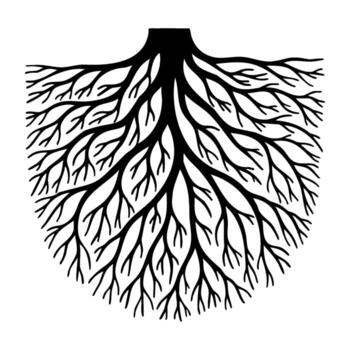 Intricate tree root system silhouette with branching patterns vector