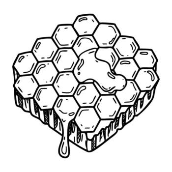Honeycomb with dripping honey in a hexagonal pattern vector