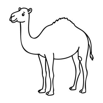 sencillo contorno de un en pie camello en perfil ver vector