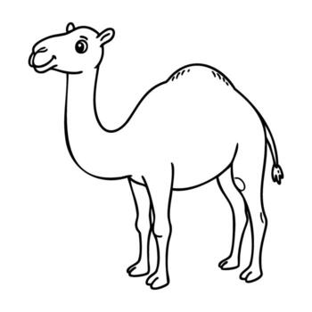 sencillo contorno dibujo de un camello en perfil ver vector