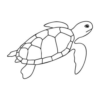 contorno de mar Tortuga con hexagonal cáscara modelo vector