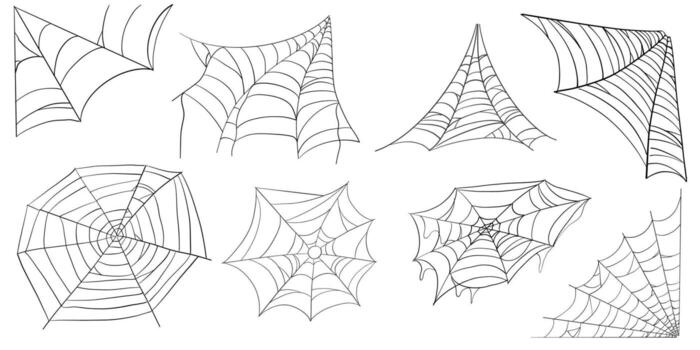 Spiderweb set line border, gothic scary hanging net frame. Simple spooky halloween decoration. Cobweb spider trap. vector