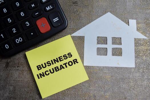 Concept of Business Incubator write on sticky notes isolated on Wooden Table photo