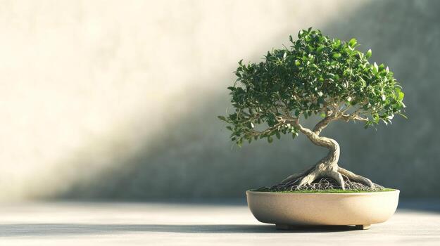 Bonsai tree in a pot. Calm and serene photo