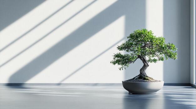 bonsai árbol en un maceta en un habitación con luz de sol foto