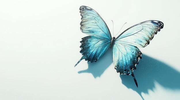 Light-blue butterfly with shadow on light background photo