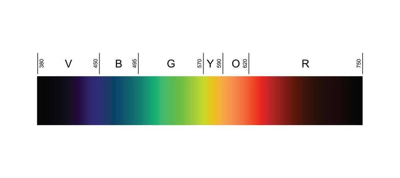 Linear Visible Spectrum Color Gradient vector
