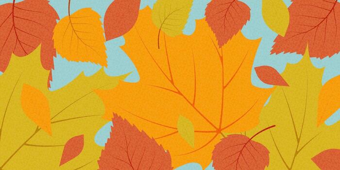 Autumn background with maple and birch leaves on a grainy texture vector