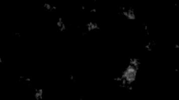 Abstract Black and White Texture with Random Patterns and Shapes video