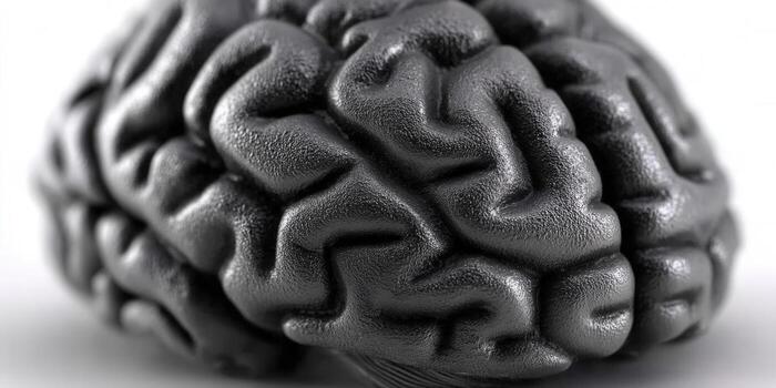 A detailed depiction of a textured brain, representing cognitive processes and the power of the mind. photo