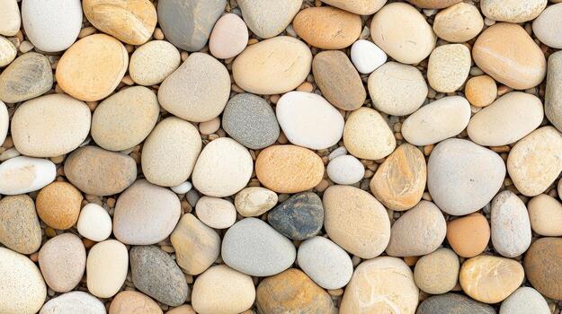 Smooth rounded pebble shapes in varying sizes create natural textured pattern with warm earthy tones and soft light photo