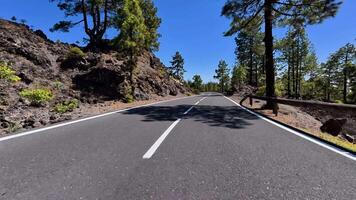 A road with trees on both sides and a mountain in the background video