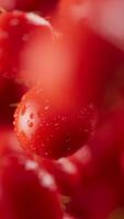Looping animation of a group of tomato. Many tomatoes slowly rotate in the background in space. Vertical composition. Defocus. Close-up. Cycle. video