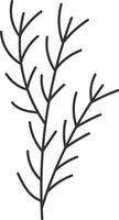 Fir Tree Branch Flat Illustration Icon vector