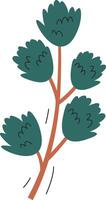 Conifer Tree Branch Drawn vector